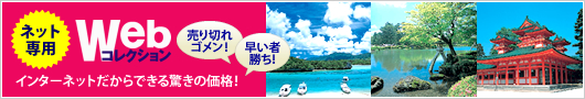 ネット専用　Webコレクション