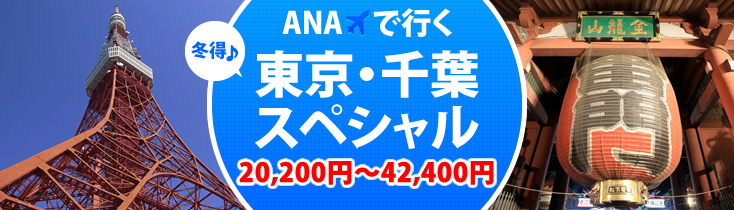 ANAで行く冬得♪東京&千葉スペシャル