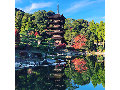 瑠璃光寺五重塔周辺