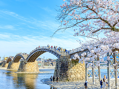 錦帯橋と吉香公園（桜・梅・花菖蒲）