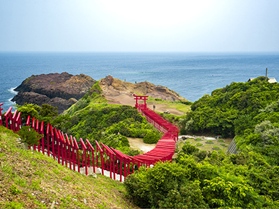 春のおすすめ観光地
