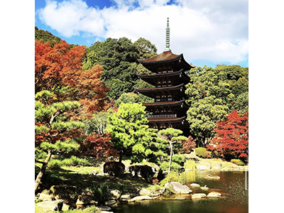 秋のおすすめ観光地