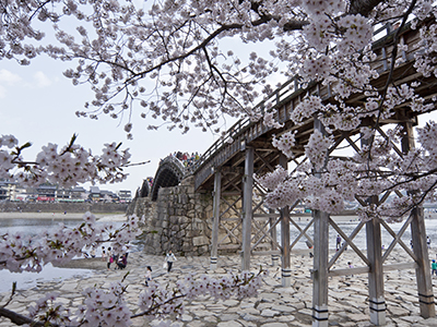 春のおすすめ観光地