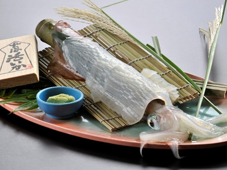 筑前玄海イカ王国　むなかたイカ満喫クーポン