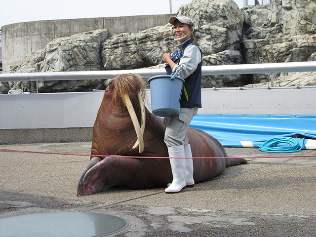 大分マリーンパレス水族館 うみたまご