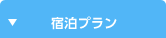 宿泊プラン