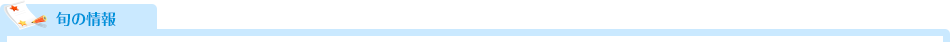 旬の情報