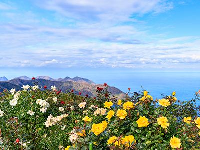 レインボー山頂公園