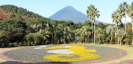 フラワーパークかごしま