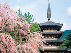 古都京都の文化財