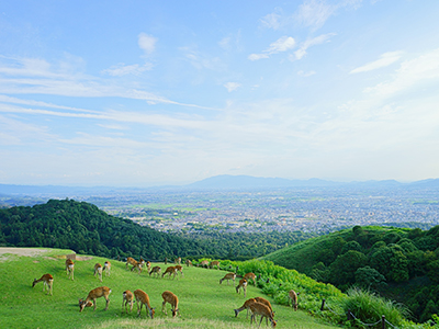 冬のおすすめ観光地
