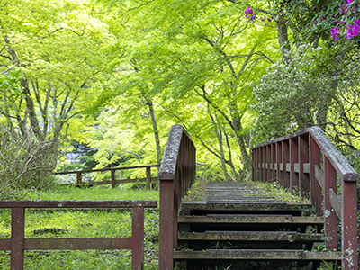 冬のおすすめ観光地