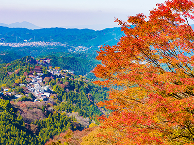 秋のおすすめ観光地