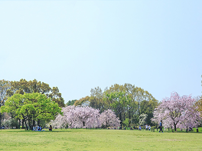 春のおすすめ観光地