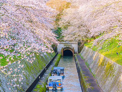 春のおすすめ観光地