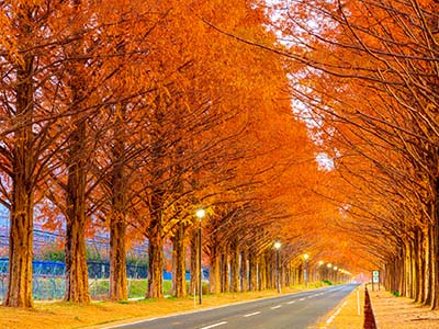 秋のおすすめ観光地