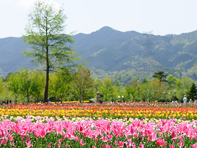 春のおすすめ観光地