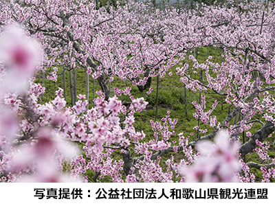 桃源郷