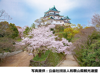 春のおすすめ観光地