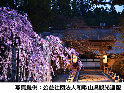 春のおすすめ観光地