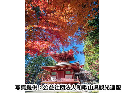 秋のおすすめ観光地
