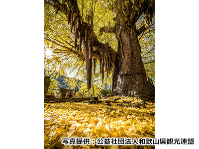 秋のおすすめ観光地