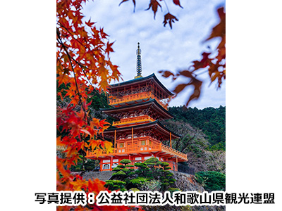 秋のおすすめ観光地