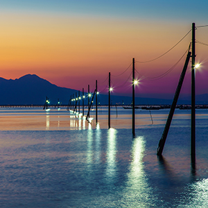 海の中、たくさんの電柱が並び立っている写真