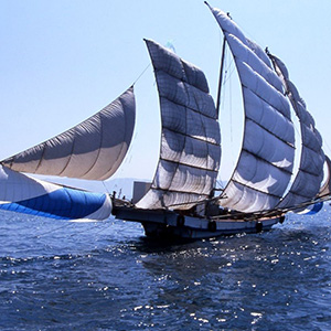 観光うたせ船の写真