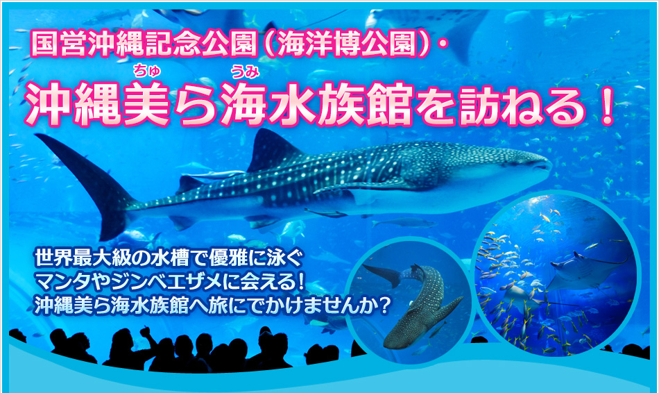 沖縄美ら海水族館を訪ねる！