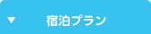 宿泊プラン