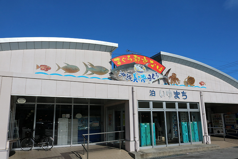 泊いゆまちの画像