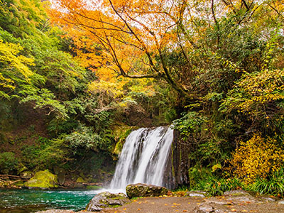 河津七滝の紅葉