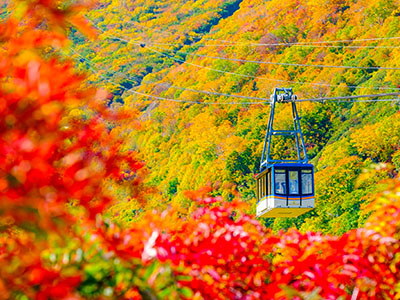 立山・黒部アルペンルートの紅葉