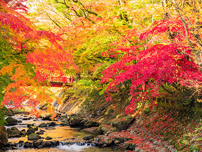 東海・北陸の紅葉