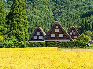 白川郷
