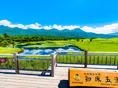 知床
