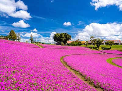 千葉県
