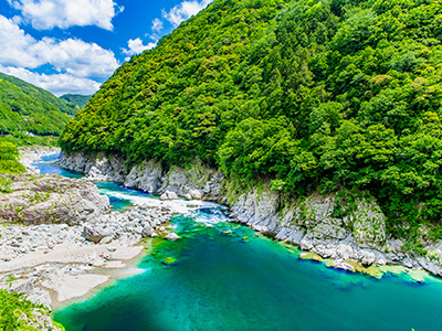 徳島県 祖谷