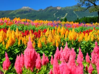 栃木県 那須