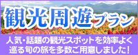 観光周遊