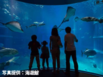 海遊館へ行こう