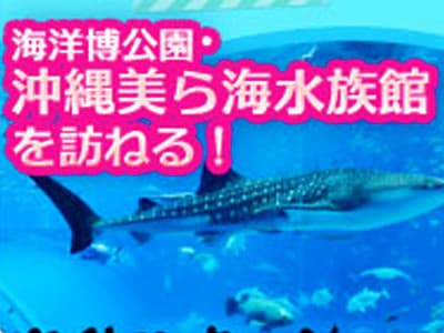 沖縄美ら海水族館を訪ねる！