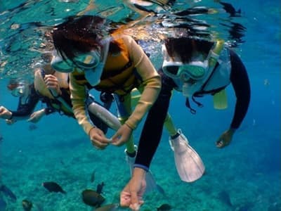 シュノーケリング