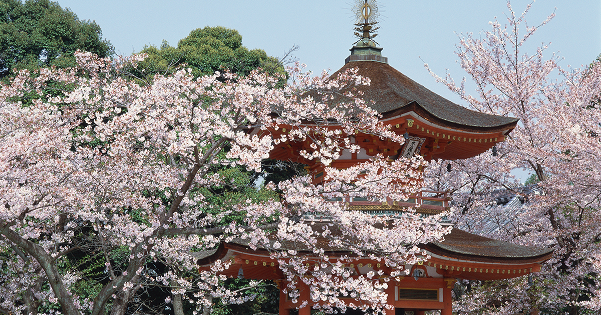 京都旅行 春休みにおすすめの旅行・ツアー特集 イメージ