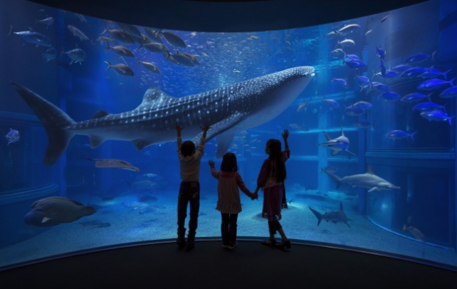 海遊館