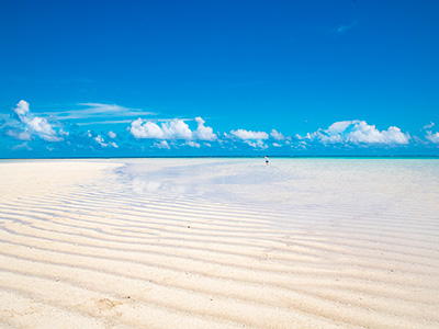 屋久島・種子島・奄美大島・与論島