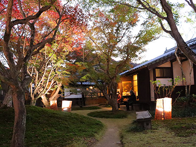 宇野千代生家 紅葉ライトアップ