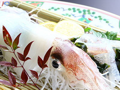 【特牛(こっとい)イカ】最高級のケンサキイカ