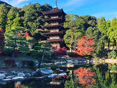 瑠璃光寺五重塔（香山公園）